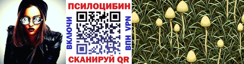 Псилоцибиновые грибы Psilocybine cubensis  Волхов 